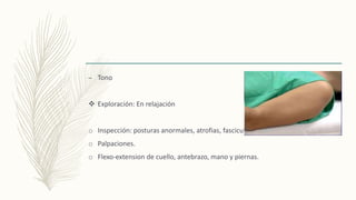 – Tono
 Exploración: En relajación
o Inspección: posturas anormales, atrofias, fasciculaciones.
o Palpaciones.
o Flexo-extension de cuello, antebrazo, mano y piernas.
 
