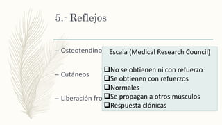 5.- Reflejos
– Osteotendinosos
– Cutáneos
– Liberación frontal
Escala (Medical Research Council)
No se obtienen ni con refuerzo
Se obtienen con refuerzos
Normales
Se propagan a otros músculos
Respuesta clónicas
 