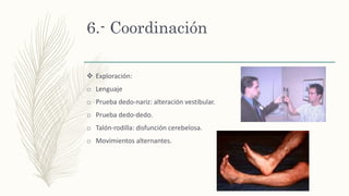 6.- Coordinación
 Exploración:
o Lenguaje
o Prueba dedo-nariz: alteración vestibular.
o Prueba dedo-dedo.
o Talón-rodilla: disfunción cerebelosa.
o Movimientos alternantes.
 
