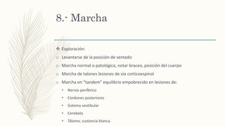 8.- Marcha
 Exploración:
o Levantarse de la posición de sentado
o Marcha normal o patológica, notar braceo, posición del cuerpo
o Marcha de talones lesiones de vía corticoespinal
o Marcha en “tandem” equilibrio empobrecido en lesiones de:
• Nervio periférico
• Cordones posteriores
• Sistema vestibular
• Cerebelo
• Tálamo, sustancia blanca.
 