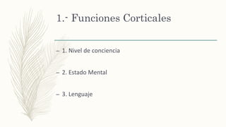 1.- Funciones Corticales
– 1. Nivel de conciencia
– 2. Estado Mental
– 3. Lenguaje
 