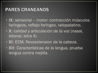 • IX: sensorial – motor: contracción músculos
faríngeos, reflejo faríngeo, velopalatino.
• X: calidad y articulación de la voz (nasal,
bitonal, letra A)
• XI: ECM, flexoextension de la cabeza.
• XII: Características de la lengua, prueba
lengua contra mejilla.
 