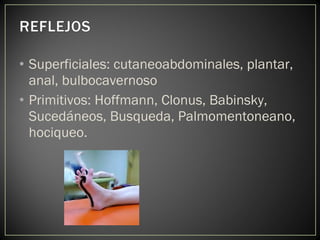 • Superficiales: cutaneoabdominales, plantar,
anal, bulbocavernoso
• Primitivos: Hoffmann, Clonus, Babinsky,
Sucedáneos, Busqueda, Palmomentoneano,
hociqueo.
 