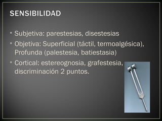 • Subjetiva: parestesias, disestesias
• Objetiva: Superficial (táctil, termoalgésica),
Profunda (palestesia, batiestasia)
• Cortical: estereognosia, grafestesia,
discriminación 2 puntos.
 