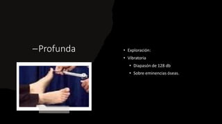 –Profunda • Exploración:
• Vibratoria
• Diapasón de 128 db
• Sobre eminencias óseas.
 