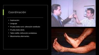 Coordinación
• Exploración:
• Lenguaje
• Prueba dedo-nariz: alteración vestibular.
• Prueba dedo-dedo.
• Talón-rodilla: disfunción cerebelosa.
• Movimientos alternantes.
 