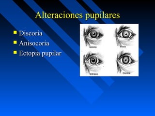 Exploracion neurologica ok | PPT