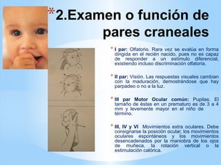 *2.Examen o función de
pares craneales
* I par: Olfatorio. Rara vez se evalúa en forma
dirigida en el recién nacido, pues no es capaz
de responder a un estímulo diferencial,
existiendo incluso discriminación olfatoria.
* II par: Visión. Las respuestas visuales cambian
con la maduración, demostrándose que hay
parpadeo o no a la luz.
* III par Motor Ocular común: Pupilas. El
tamaño de éstas en un prematuro es de 3 a 4
mm y levemente mayor en el niño de
término.
* III, IV y VI Movimientos extra oculares. Debe
consignarse la posición ocular, los movimientos
oculares espontáneos y los movimientos
desencadenados por la maniobra de los ojos
de muñeca, la rotación vertical o la
estimulación calórica.
 