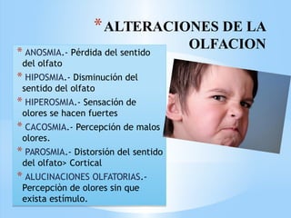 *ALTERACIONES DE LA
OLFACION
* ANOSMIA.- Pérdida del sentido
del olfato
* HIPOSMIA.- Disminución del
sentido del olfato
* HIPEROSMIA.- Sensación de
olores se hacen fuertes
* CACOSMIA.- Percepción de malos
olores.
* PAROSMIA.- Distorsión del sentido
del olfato> Cortical
* ALUCINACIONES OLFATORIAS.-
Percepciòn de olores sin que
exista estímulo.
* ANOSMIA.- Pérdida del sentido
del olfato
* HIPOSMIA.- Disminución del
sentido del olfato
* HIPEROSMIA.- Sensación de
olores se hacen fuertes
* CACOSMIA.- Percepción de malos
olores.
* PAROSMIA.- Distorsión del sentido
del olfato> Cortical
* ALUCINACIONES OLFATORIAS.-
Percepciòn de olores sin que
exista estímulo.
 