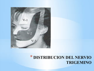 *DISTRIBUCION DEL NERVIO
TRIGEMINO
 