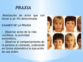 PRAXIA
 
.Realización de actos que con
llevan a un :fin determinado
 
EXAMEN DE LA PRAXIA
 
1. Observar actos de la vida
cotidiana, la actividad
automática.
2. Observar el comportamiento de
la persona al comando, ordenando
en forma sistemática la ejecución
de una orden.
 