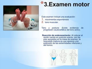 *3.Examen motor
Este examen incluye una evaluación:
1. movimientos espontáneos
2. tono muscular.
Tono y postura: Existe evidencia de
progresión caudocefálica del tono activo,
Reacción de enderezamiento: Al colocar al
recién nacido en posición erecta, con los
pies apoyados en la mesa de examen, la
respuesta madura es que aparece una
extensión de las extremidades inferiores y
del tronco.
 