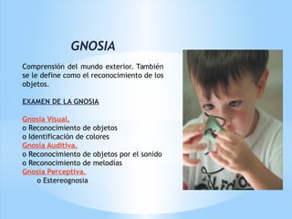 GNOSIA
 
Comprensión del mundo exterior. También
se le define como el reconocimiento de los
objetos.
 
EXAMEN DE LA GNOSIA
 
Gnosia Visual.
o Reconocimiento de objetos
o Identificación de colores
Gnosia Auditiva.
o Reconocimiento de objetos por el sonido
o Reconocimiento de melodías
Gnosia Perceptiva.
o Estereognosia
 