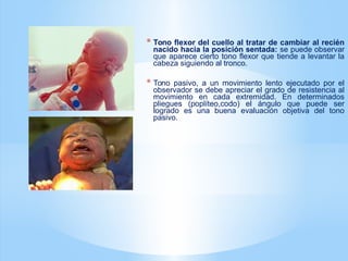 * Tono flexor del cuello al tratar de cambiar al recién
nacido hacia la posición sentada: se puede observar
que aparece cierto tono flexor que tiende a levantar la
cabeza siguiendo al tronco.
* Tono pasivo, a un movimiento lento ejecutado por el
observador se debe apreciar el grado de resistencia al
movimiento en cada extremidad. En determinados
pliegues (poplíteo,codo) el ángulo que puede ser
logrado es una buena evaluación objetiva del tono
pasivo.
 