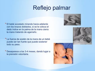 *El bebé acostado mirando hacia adelante
con los brazos doblados, si se le coloca el
dedo índice en la palma de la mano cierra
la mano tratando de agarrarlo.
*La fuerza de sostén de la mano de un bebé
puede ser tan fuerte que puede sostener
todo su peso.
*Desaparece a los 3-4 meses, dando lugar a
la prensión voluntaria.
Reflejo palmar
 
