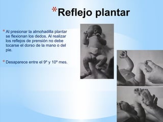 *Reflejo plantar
*Al presionar la almohadilla plantar
se flexionan los dedos. Al realizar
los reflejos de prensión no debe
tocarse el dorso de la mano o del
pie.
*Desaparece entre el 9º y 10º mes.
 
