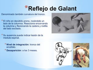 *Reflejo de Galant
Denominado también curvatura del tronco.
*El niño en decúbito prono, rozándole un
lado de la columna. Reacciona encorvando
la columna y flexionando la cadera y rodilla
del lado excitado.
*Su ausencia puede indicar lesión de la
medula espinal.
*Nivel de integración: tronco del
encéfalo.
*Desaparición: a los 3 meses.
 