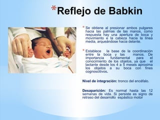 *Reflejo de Babkin
* Se obtiene al presionar ambos pulgares
hacia las palmas de las manos, como
respuesta hay una apertura de boca y
movimiento e la cabeza hacia la línea
media, arqueándose hacia delante.
* Establece la base de la coordinación
entre la boca y las manos. De
importancia fundamental para el
conocimiento de los objetos, ya que el
lactante desde los 4 a 5 meses aproxima
los objetos a su boca con fines
cognoscitivos.
Nivel de integración: tronco del encéfalo.
Desaparición: Es normal hasta las 12
semanas de vida. Si persiste es signo de
retraso del desarrollo espástico motor
 
