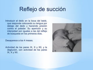 Introducir el dedo en la boca del bebé,
que responde colocando su lengua por
debajo del dedo y haciendo presión
contra el paladar. Su aparición y su
intensidad son iguales a las del reflejo
de búsqueda en los primeros días.
Desaparece a los 4 meses.
Actividad de los pares IX, X y XII, y la
deglución, con actividad de los pares
IX, X y XII.
Reflejo de succión
 