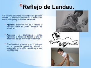 *Reflejo de Landau.
Se observa al niño/a suspendido en posición
ventral. El tronco se endereza, la cabeza se
eleva y los pies y brazos se extienden.
* Aparece: alrededor de los 4 meses y
persiste hasta el último trimestre del
primer año.
* Ausencia o disfunción: señala
hipertonía o hipotonía flexora y falta de
desarrollo de los músculos extensores
* El reflejo esta ausente o poco marcado
en la miopatía congénita infantil y
exagerado en el niño hipertónico o con
opistódomos
 