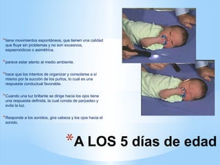 *A LOS 5 días de edad
*tiene movimientos espontáneos, que tienen una calidad
que fluye sin problemas y no son excesivos,
espasmódicos o asimétrica.
*parece estar atento al medio ambiente.
*hace que los intentos de organizar y consolarse a sí
mismo por la succión de los puños, lo cual es una
respuesta conductual favorable.
*Cuando una luz brillante se dirige hacia los ojos tiene
una respuesta definida, la cual consta de parpadeo y
evita la luz.
*Responde a los sonidos, gira cabeza y los ojos hacia el
sonido.
 