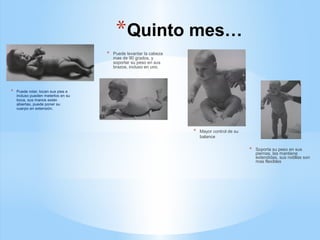 *Quinto mes…
* Puede rotar, tocan sus pies e
incluso pueden meterlos en su
boca, sus manos están
abiertas, puede poner su
cuerpo en extensión.
* Puede levantar la cabeza
mas de 90 grados, y
soportar su peso en sus
brazos, incluso en uno.
* Mayor control de su
balance
* Soporta su peso en sus
piernas, las mantiene
extendidas, sus rodillas son
mas flexibles
 