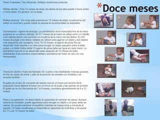 *Doce meses
Pares Craneales, Tono Muscular, Reflejos tendinosos profundo
Reflejo plantar. A los 12 meses de edad, los dedos de los pies puede ir hacia arriba
o hacia abajo. En general, se va abajo.
Reflejo postural. Sin duda está presente en 12 meses de edad. La asimetría del
reflejo es anormal y puede indicar la paresia en la extremidad no extendida.
Coordinación - agarre de tenazas. La coordinación de la motricidad fina de la mano
progresa en un patrón definido. En 6-7 meses de la mano se utiliza como un rastrillo
y los objetos tienen una comisión en la palma de la mano con los dedos. En 8-9
meses el pulgar y los dedos radiales se utilizan para agarrar un objeto y los objetos
más pequeños son recogidos. A los 10-12 meses, el agarre de pinza fina se
desarrolla. Esto permite a un niño para recoger un objeto pequeño entre el dedo
pulgar y el dedo índice distal. El agarre de pinza debe ser igual en cada mano. La
lateralidad manual no se desarrolla hasta después de 12 meses de edad.
Habilidades finas primeros imparcialidad y asimétrica de motor se ven con una
hemiparesia.
Transición dentro y fuera de Sentado: En cuanto a las habilidades motoras gruesas,
el niño es capaz de entrar y salir de la posición de sentado con facilidad y se
arrastra también.
El gateo es un tipo de comando de rastreo que es un brazo por encima de la
propulsión hacia delante el brazo con el tronco en el suelo y las piernas de arrastre.
El gateo se ve con frecuencia de 7 a 9 meses, considera generalmente de 8 a 12
meses.
Paso y recuperación. ha desarrollado la capacidad de caminar sin apoyo. Aunque
todavía es inestable, puede agacharse para recoger un objeto y un paso atrás sin
caerse. Se puede mantener el equilibrio mientras se inspecciona y manipula el
juguete. Un bebé usualmente se desarrolla la capacidad de inclinarse y recuperar
los 11 y los 14 meses de edad.
 