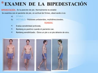 *EXAMEN DE LA BIPEDESTACIÓN
BIPEDESTACIÓN.- Es la posición de pie. Normalmente es estable
Se examina con el paciente de pie, en actitud de firmes, observando si es:
a) ESTABLE.-
b) INESTABLE.- Pulsiones unilaterales, multidireccionales.
ROMBERG
. Evalúa sensibilidad profunda.
. Romberg es positivo cuando el paciente cae.
. Romberg sensibilizado.- Eleva un pie o un pie delante de otro.
 