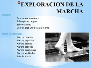 *EXPLORACION DE LA
MARCHAEXAMEN:
 Camine normalmente
 Sobre punta de pies
 Sobre talones
 Con los pies uno detrás del otro
TIPOS DE MARCHA:
 Marcha parética
 Marcha espástica
 Marcha atáxica
 Marcha tabética
 Marcha cerebelosa
 Marcha vestibular
 Astasia abasia
 