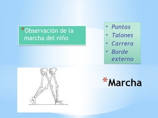 *Marcha
*Observación de la
marcha del niño
*Observación de la
marcha del niño
• Puntas
• Talones
• Carrera
• Borde
externo
• Puntas
• Talones
• Carrera
• Borde
externo
 