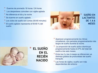 * EL SUEÑO
EN EL
RECIÉN
NACIDO
* Duerme de promedio 16 horas / 24 horas
* Los despertares coinciden con vigilia agitada
* No diferencia el día y la noche
* Se duerme en sueño agitado
* Los ciclos de sueño son cortos (50-60 minutos)
* El sueño agitado representa el 50-60 % del
sueño
* SUEÑO EN
LACTANTES
DE 1 A 6
MESES
* Aparecen progresivamente los ritmos
circadianos, con periodos progresivamente más
largos de sueño durante la noche.
* La proporción de sueño activo disminuye
progresivamente hasta el 27% del total del
sueño a los seis meses.
* Entre los 2 y los 4 meses se diferencian ya
distintos grados de profundidad del sueño
tranquilo.
* Las horas de vigilia y sueño son más
dependientes del entorno
 