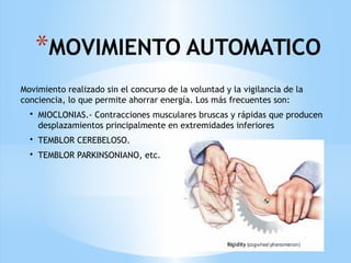 *MOVIMIENTO AUTOMATICO
Movimiento realizado sin el concurso de la voluntad y la vigilancia de la
conciencia, lo que permite ahorrar energía. Los más frecuentes son:
• MIOCLONIAS.- Contracciones musculares bruscas y rápidas que producen
desplazamientos principalmente en extremidades inferiores
• TEMBLOR CEREBELOSO.
• TEMBLOR PARKINSONIANO, etc.
 