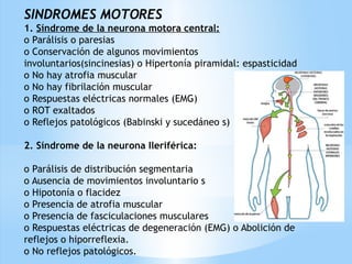 SINDROMES MOTORES
1. Síndrome de la neurona motora central:
o Parálisis o paresias
o Conservación de algunos movimientos
involuntarios(sincinesias) o Hipertonía piramidal: espasticidad
o No hay atrofia muscular
o No hay fibrilación muscular
o Respuestas eléctricas normales (EMG)
o ROT exaltados
o Reflejos patológicos (Babinski y sucedáneo s)
 
2. Síndrome de la neurona Ileriférica:
 
o Parálisis de distribución segmentaria
o Ausencia de movimientos involuntario s
o Hipotonía o flacidez
o Presencia de atrofia muscular
o Presencia de fasciculaciones musculares
o Respuestas eléctricas de degeneración (EMG) o Abolición de
reflejos o hiporreflexia.
o No reflejos patológicos.
 