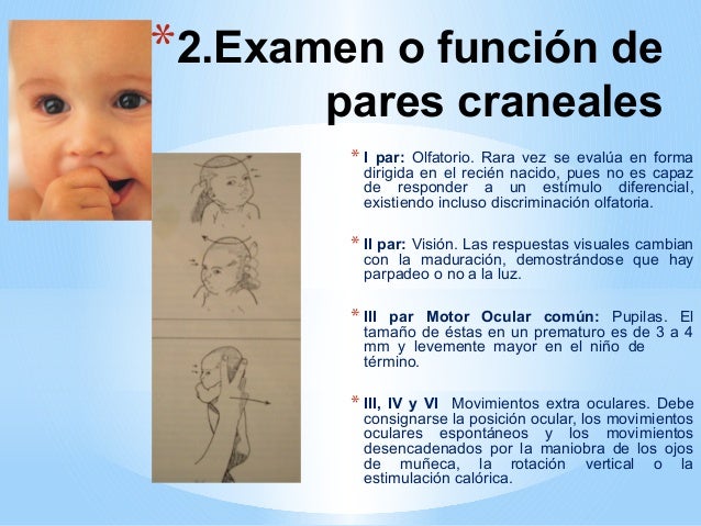 Exploracion Neurologica Pediatrica