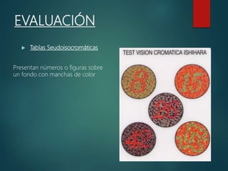 EVALUACIÓN
 Tablas Seudoisocromáticas
Presentan números o figuras sobre
un fondo con manchas de color
 