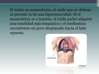 • Si existe un neumotórax, el ruido que se obtiene
al percutir es de una hipersonoridad. Si el
neumotórax es a tensión, el ruido podrá adquirir
una tonalidad más timpánica y el mediastino
encontrarse un poco desplazado hacia el lado
opuesto.
 