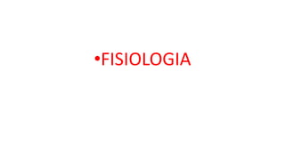 •FISIOLOGIA
 