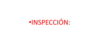 •INSPECCIÓN:
 