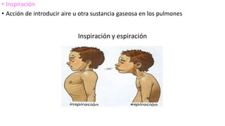 • Inspiración
• Acción de introducir aire u otra sustancia gaseosa en los pulmones
 