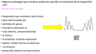 • Algunas patología que nosotros podemos percibir al momento de la inspección
son:
• Respiración de Biot:
• Respiración que mantiene cierto ritmo,
• pero interrumpido por
• períodos de apnea.
• Cuando la alteración es
• más extrema, comprometiendo
• el ritmo y
• la amplitud, se llama respiración
• atáxica. Ambas formas se observan
• en lesiones
• graves del sistema nervioso central.
 
