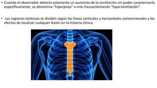 • Cuando el observador detecta solamente un aumento de la ventilación sin poder caracterizarla
específicamente, se denomina “hiperpnea” o más frecuentemente “hiperventilación”.
• Las regiones torácicas se dividen según las líneas verticales y horizontales convencionales a los
efectos de localizar cualquier lesión en la historia clínica
 