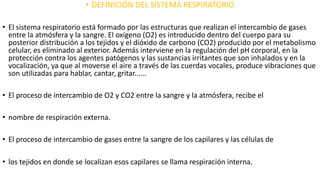 • DEFINICIÓN DEL SISTEMA RESPIRATORIO
• El sistema respiratorio está formado por las estructuras que realizan el intercambio de gases
entre la atmósfera y la sangre. El oxígeno (O2) es introducido dentro del cuerpo para su
posterior distribución a los tejidos y el dióxido de carbono (CO2) producido por el metabolismo
celular, es eliminado al exterior. Además interviene en la regulación del pH corporal, en la
protección contra los agentes patógenos y las sustancias irritantes que son inhalados y en la
vocalización, ya que al moverse el aire a través de las cuerdas vocales, produce vibraciones que
son utilizadas para hablar, cantar, gritar......
• El proceso de intercambio de O2 y CO2 entre la sangre y la atmósfera, recibe el
• nombre de respiración externa.
• El proceso de intercambio de gases entre la sangre de los capilares y las células de
• los tejidos en donde se localizan esos capilares se llama respiración interna.
 