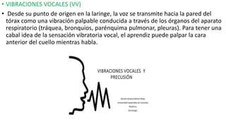 • VIBRACIONES VOCALES (VV)
• Desde su punto de origen en la laringe, la voz se transmite hacia la pared del
tórax como una vibración palpable conducida a través de los órganos del aparato
respiratorio (tráquea, bronquios, parénquima pulmonar, pleuras). Para tener una
cabal idea de la sensación vibratoria vocal, el aprendiz puede palpar la cara
anterior del cuello mientras habla.
 