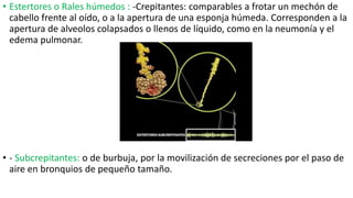 • Estertores o Rales húmedos : -Crepitantes: comparables a frotar un mechón de
cabello frente al oído, o a la apertura de una esponja húmeda. Corresponden a la
apertura de alveolos colapsados o llenos de líquido, como en la neumonía y el
edema pulmonar.
• - Subcrepitantes: o de burbuja, por la movilización de secreciones por el paso de
aire en bronquios de pequeño tamaño.
 