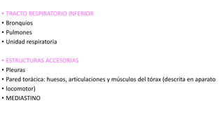 • TRACTO RESPIRATORIO INFERIOR
• Bronquios
• Pulmones
• Unidad respiratoria
• ESTRUCTURAS ACCESORIAS
• Pleuras
• Pared torácica: huesos, articulaciones y músculos del tórax (descrita en aparato
• locomotor)
• MEDIASTINO
 