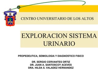 CENTRO UNIVERSITARIO DE LOS ALTOS PROPEDEUTICA, SEMIOLOGIA Y DIAGNOSTICO FISICO DR. SERGIO CERVANTES ORTIZ DR. JUAN A. SANTOSCOY ACEVES DRA. HILDA S. VALADEZ HERNANDEZ EXPLORACION SISTEMA URINARIO 
