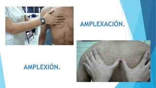 AMPLEXIÓN.
AMPLEXACIÓN.
 