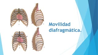 Movilidad
diafragmática.
 