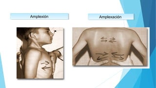 AmplexiónAmplexión AmplexaciónAmplexación
 