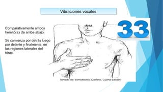 Vibraciones vocalesVibraciones vocales
Comparativamente ambos
hemitórax de arriba abajo.
Se comienza por detrás luego
por delante y finalmente, en
las regiones laterales del
tórax.
 